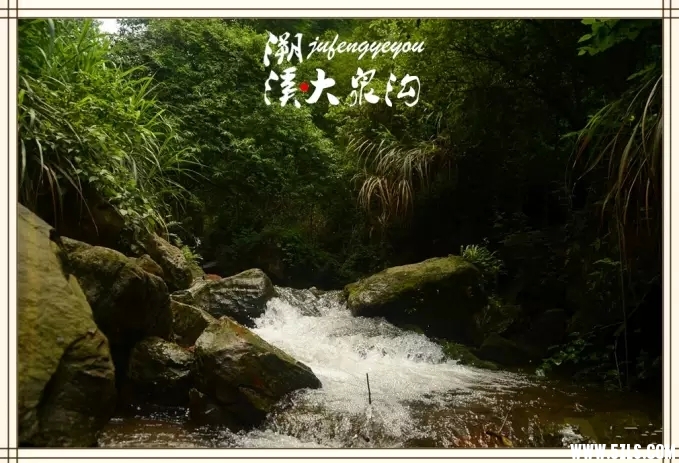0.webp (1).jpg