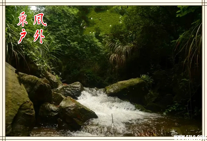 0.webp (1)_meitu_2.jpg