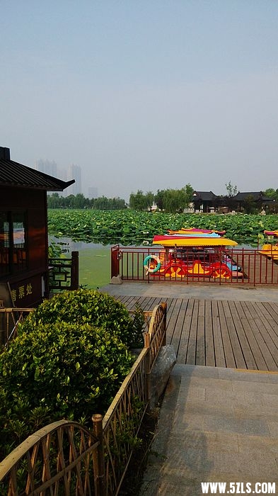 IMG_20150620_074136.jpg