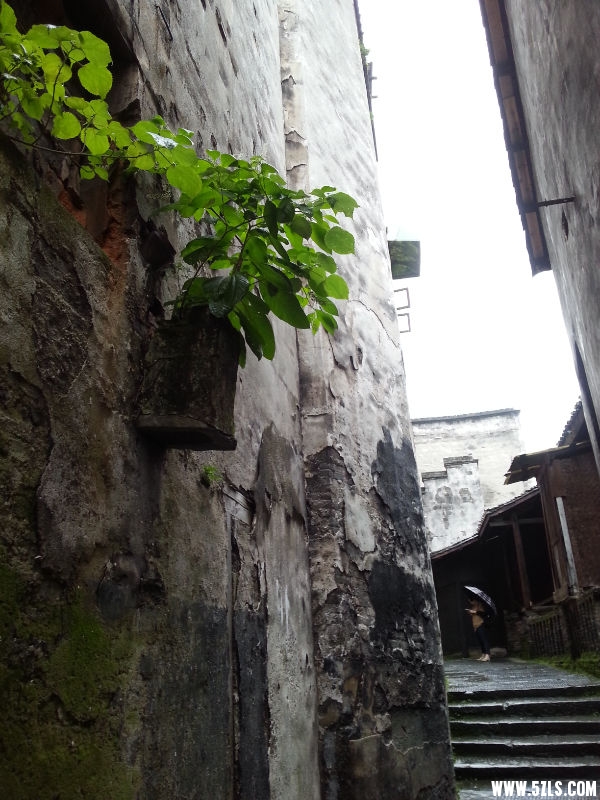 20150621_093632.jpg