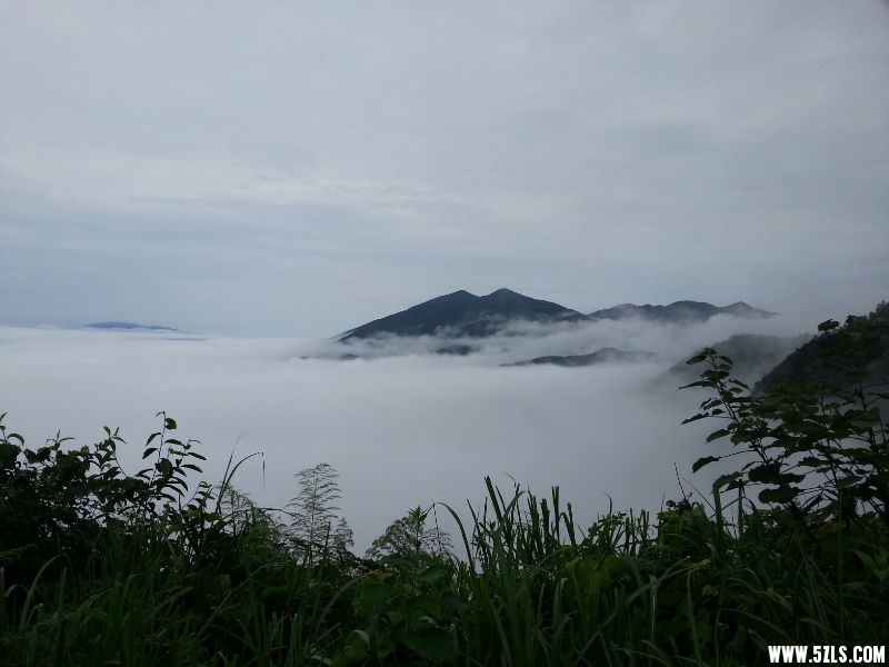 20150622_085046.jpg