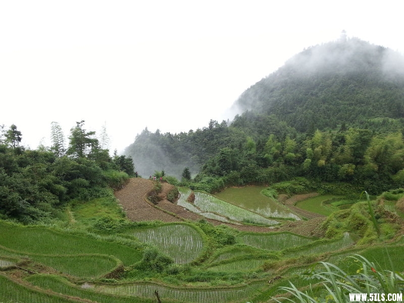 20150622_083835.jpg