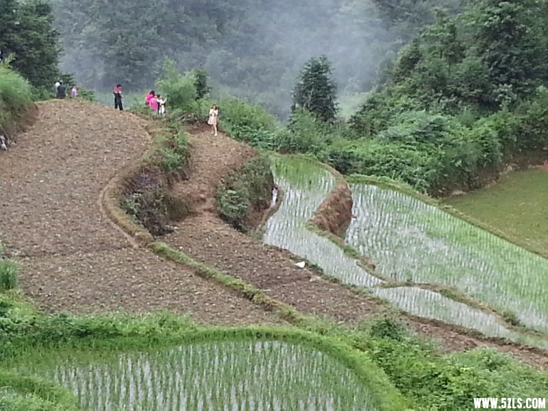 20150622_084051.jpg
