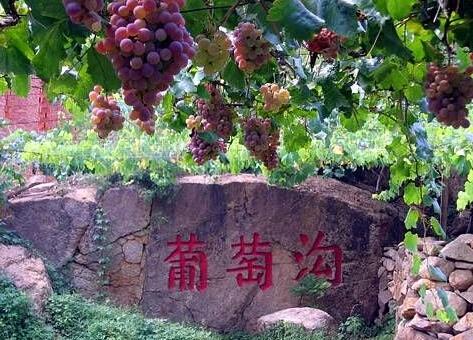 葡萄沟.jpg