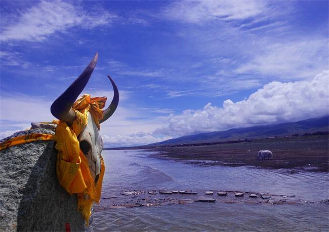 青海湖4.jpg