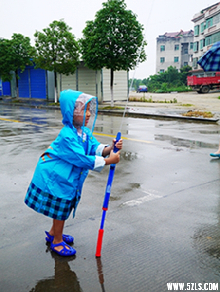P1170226100.jpg