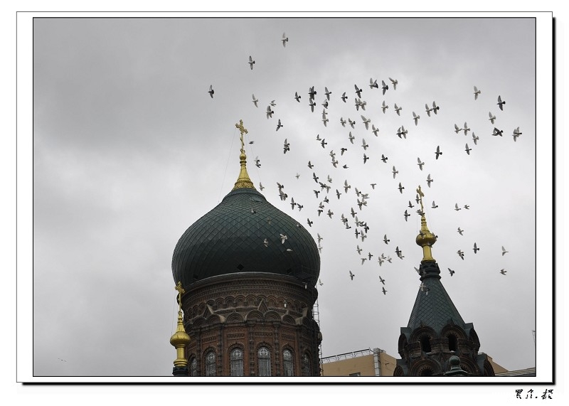  (17)_Ŀѹ.JPG