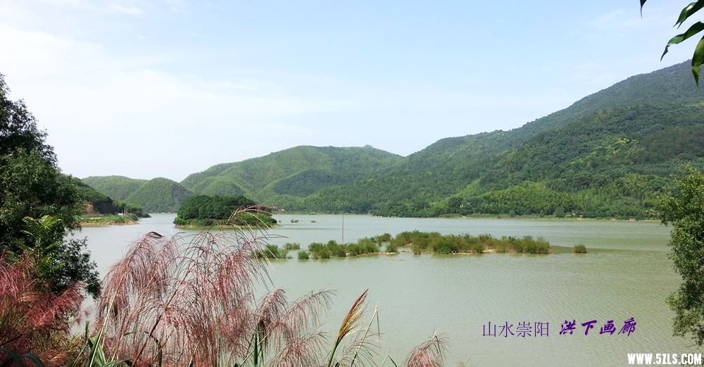 20150611_152430_.jpg
