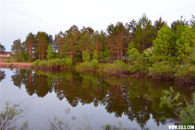 DSC_3128.jpg