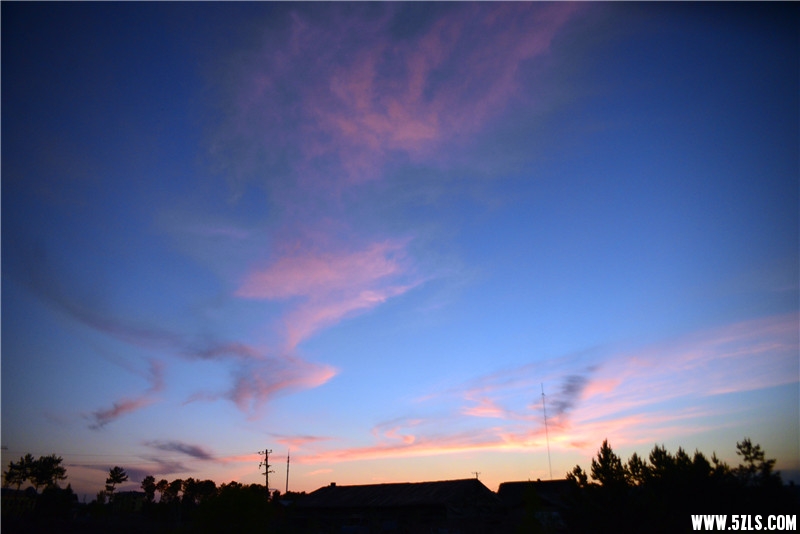 DSC_3123.jpg