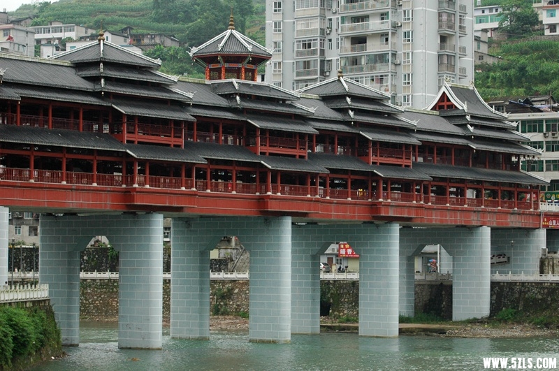 DSC_3646_副本.jpg