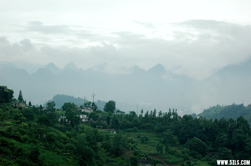 DSC_3666_副本.jpg