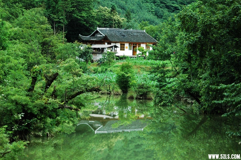 DSC_3700_副本.jpg