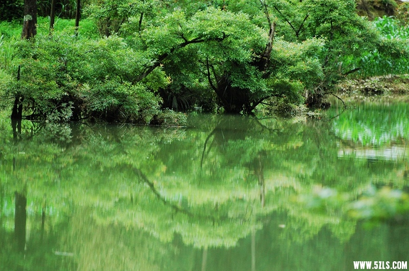 DSC_3703_副本.jpg