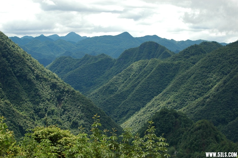 DSC_3725_副本.jpg