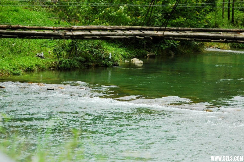 DSC_3736_副本.jpg