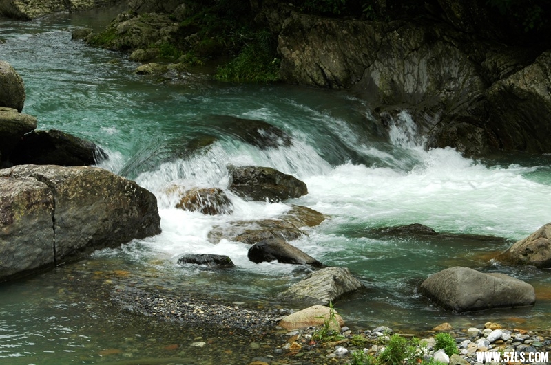DSC_3740_副本.jpg
