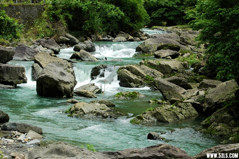 DSC_3747_副本.jpg