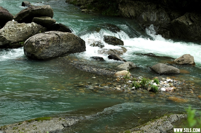 DSC_3753_副本.jpg