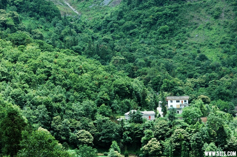 DSC_3770_副本.jpg
