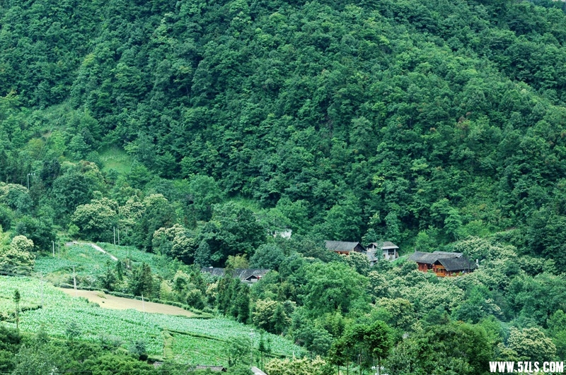 DSC_3771_副本.jpg