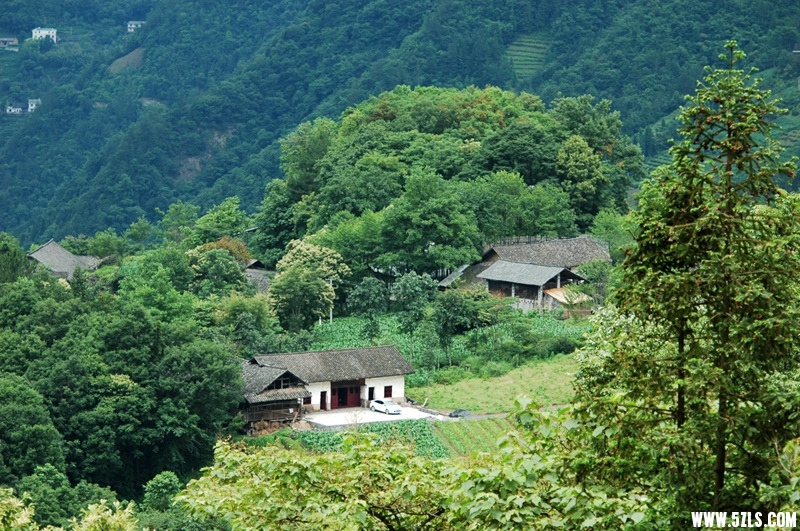 DSC_3774_副本.jpg