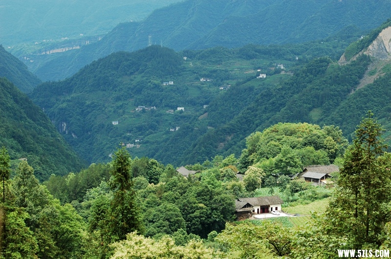 DSC_3778_副本.jpg