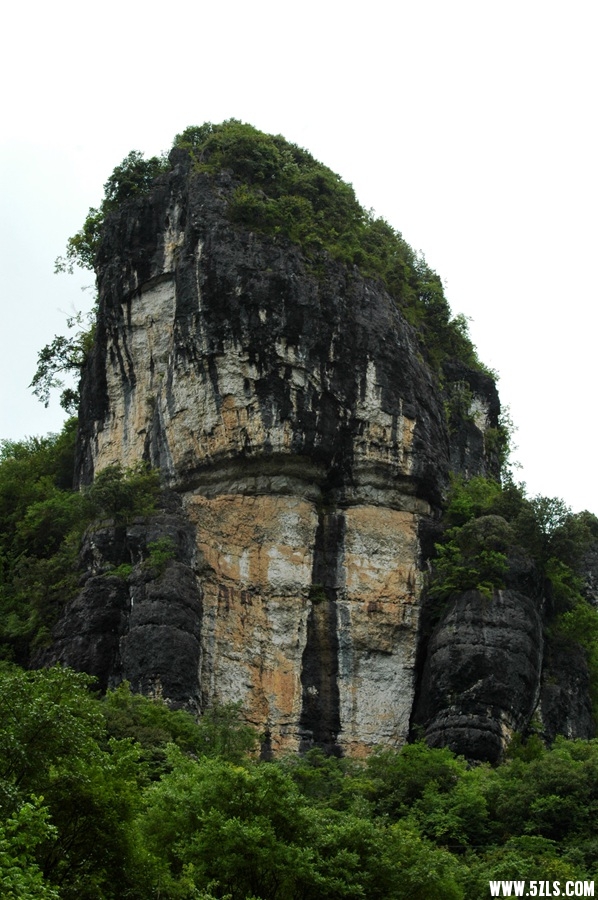 DSC_3812_副本.jpg