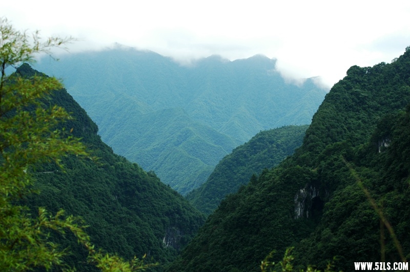 DSC_3848_副本.jpg