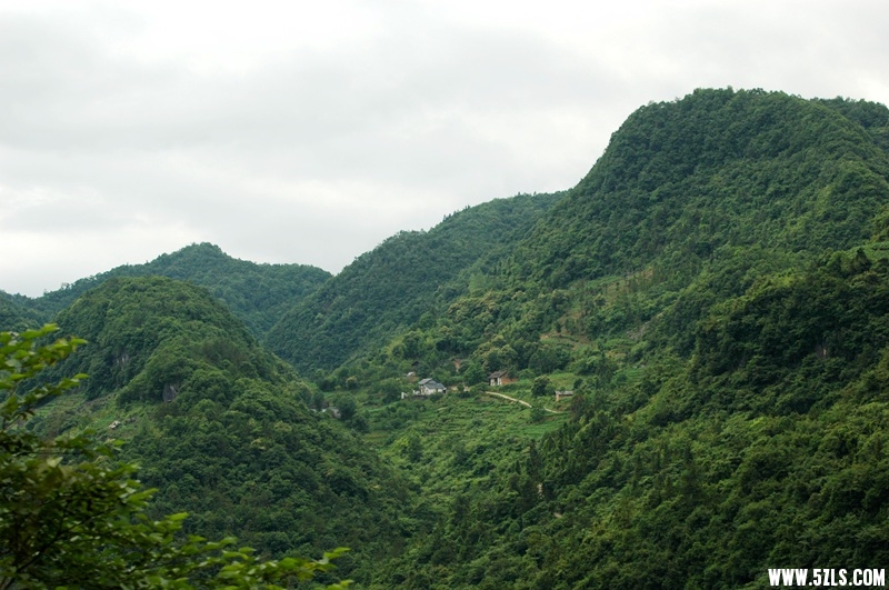 DSC_3851_副本.jpg