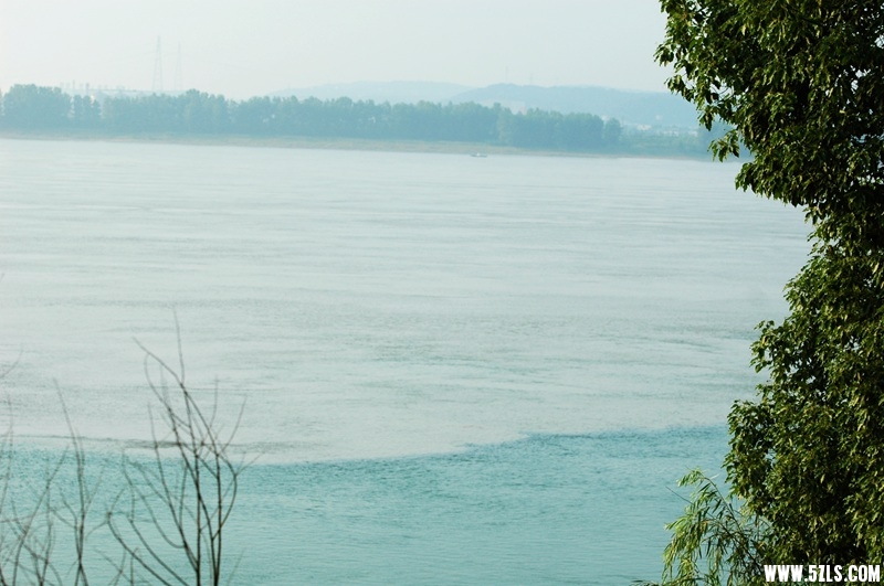 DSC_3872_副本.jpg
