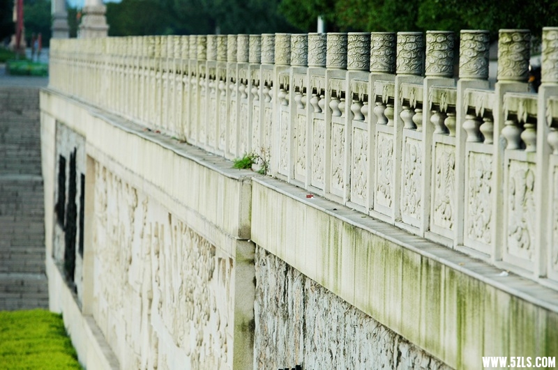 DSC_3884_副本.jpg