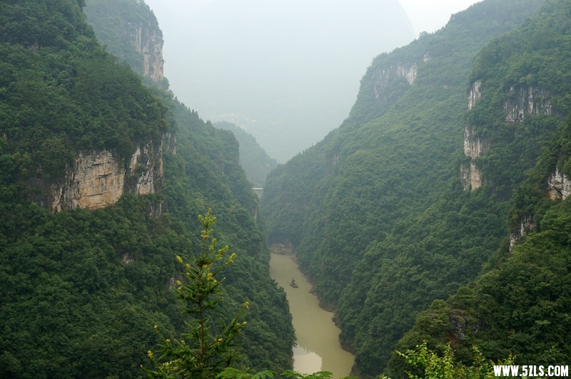 DSC06159_副本.jpg