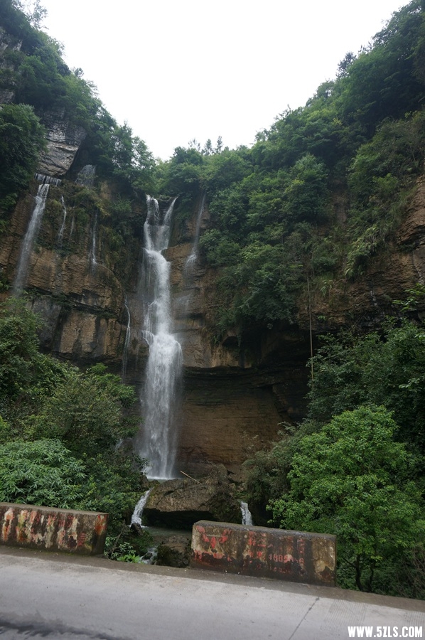 DSC06168_副本.jpg