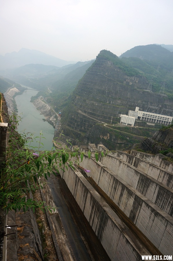 DSC06194_副本.jpg