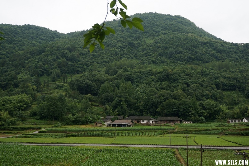 DSC06230_副本.jpg