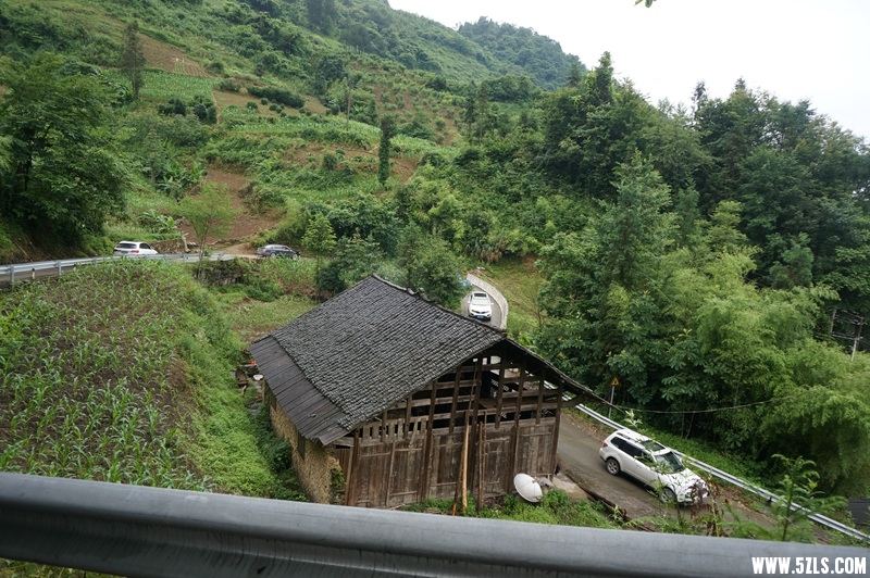 DSC06241_副本.jpg