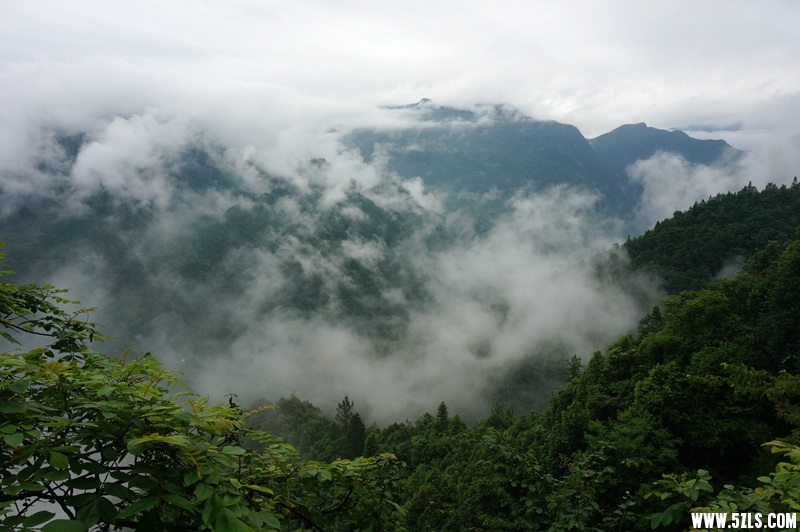 DSC06257_副本.jpg