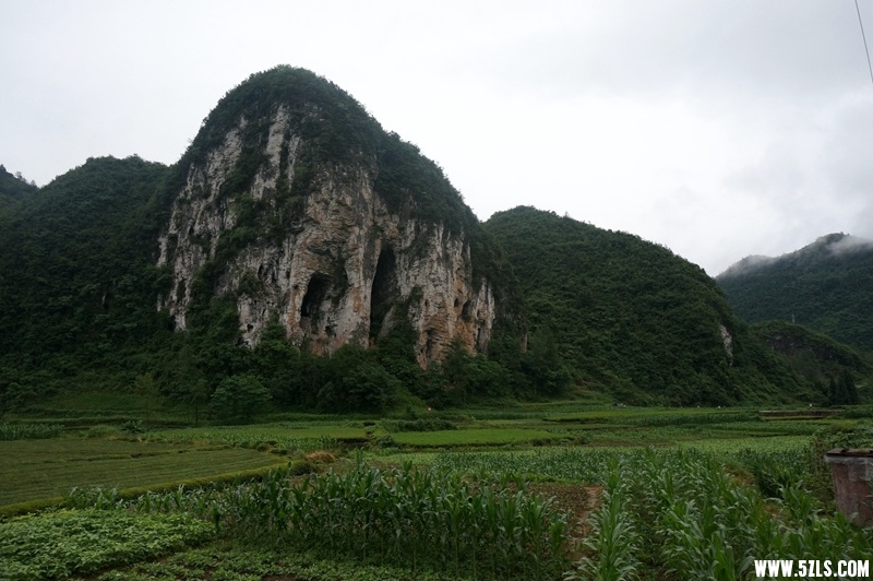 DSC06455_副本.jpg
