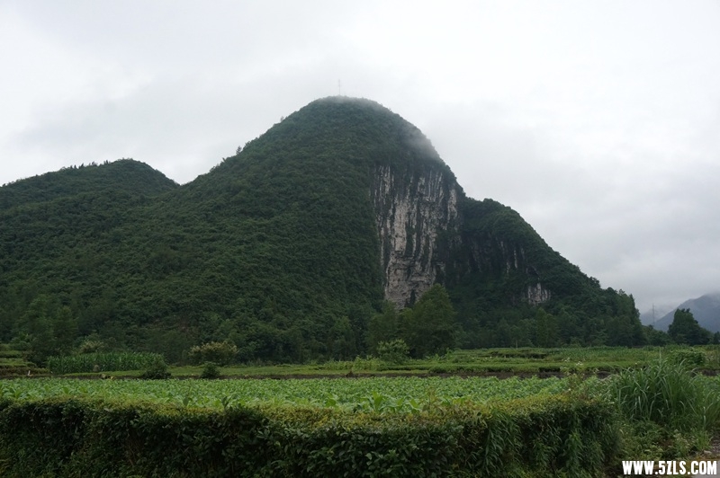 DSC06456_副本.jpg