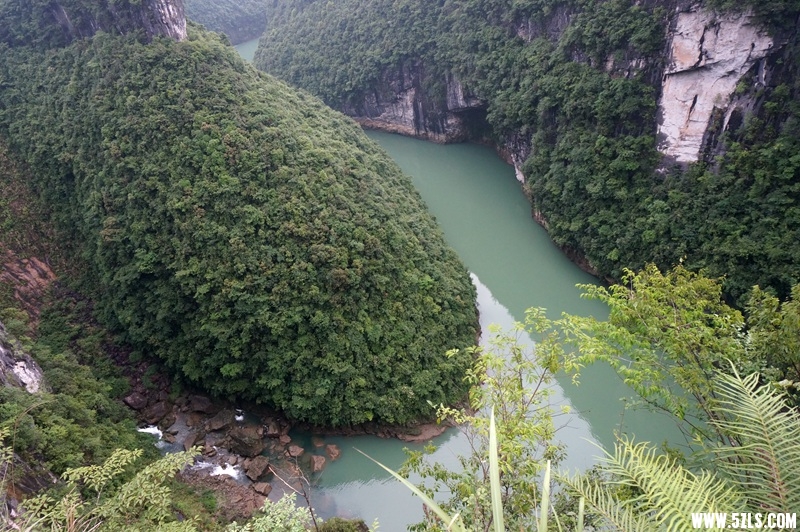 DSC06476_副本.jpg
