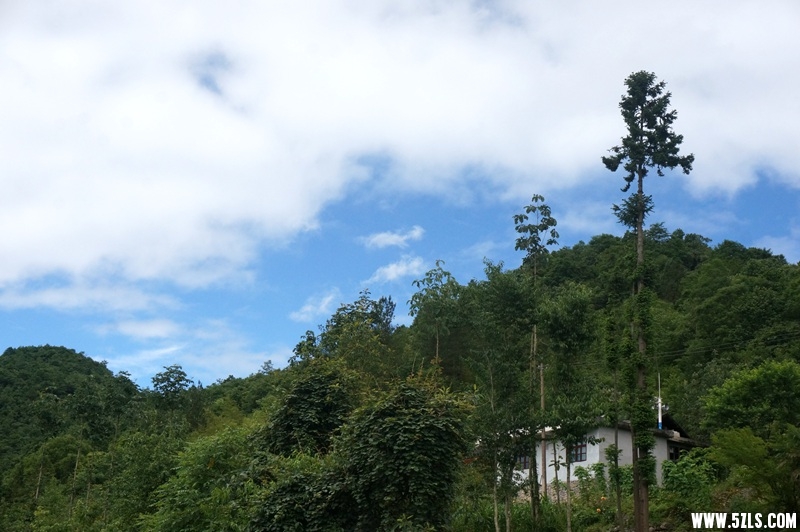 DSC06501_副本.jpg