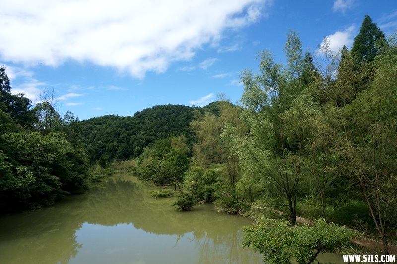 DSC06511_副本.jpg
