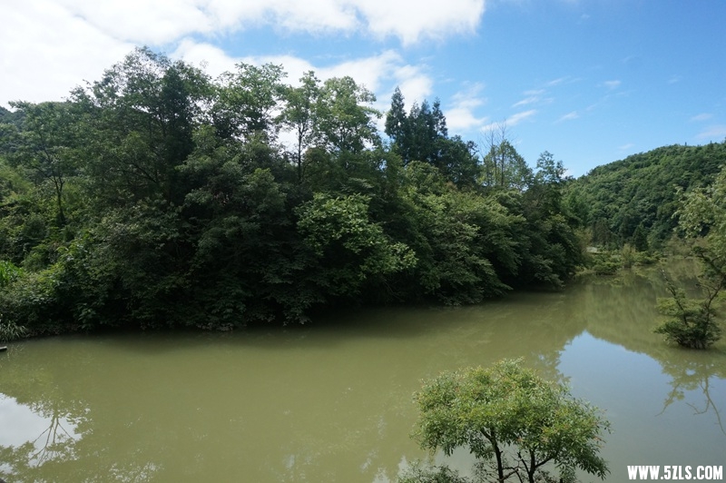 DSC06514_副本.jpg