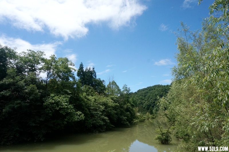 DSC06521_副本.jpg