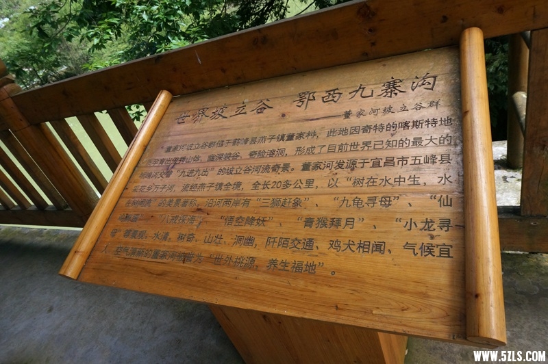 DSC06522_副本.jpg
