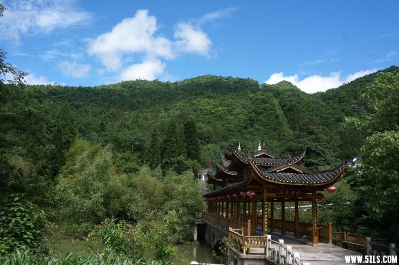 DSC06527_副本.jpg