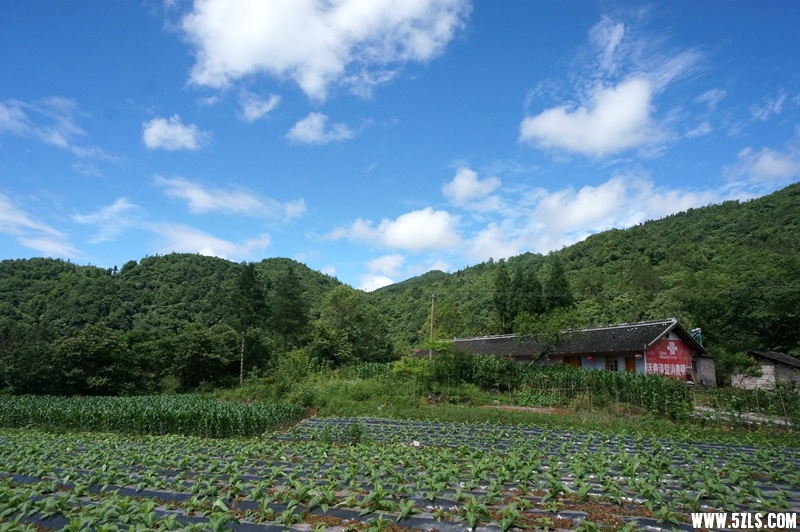DSC06532_副本.jpg