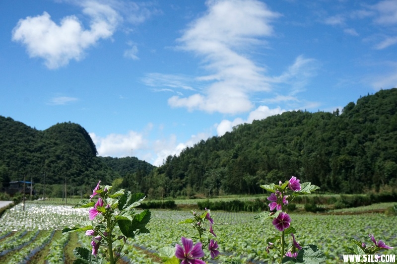 DSC06537_副本.jpg