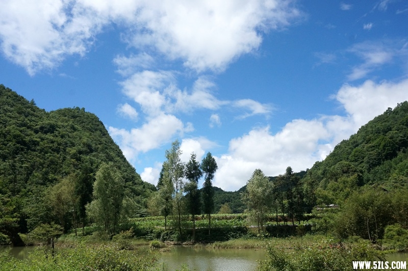 DSC06540_副本.jpg